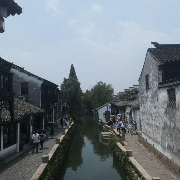大白猫逃脱