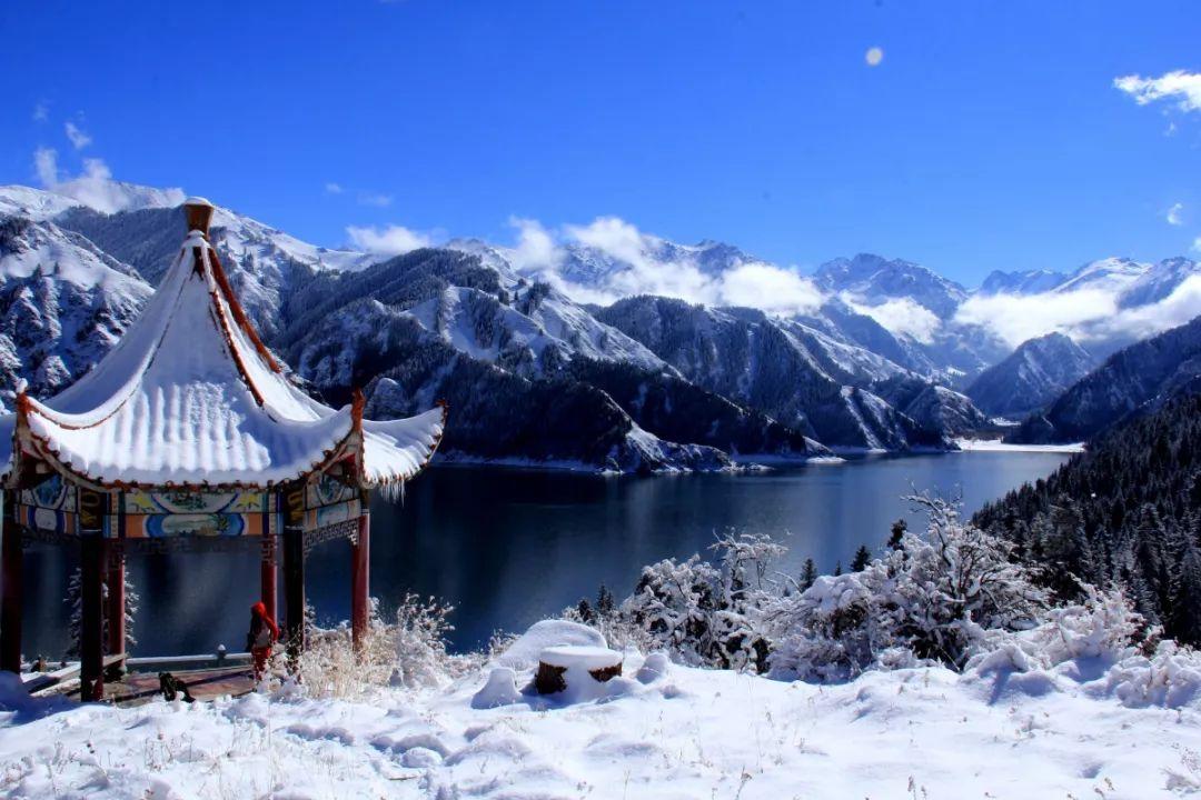 超黄金铠甲
